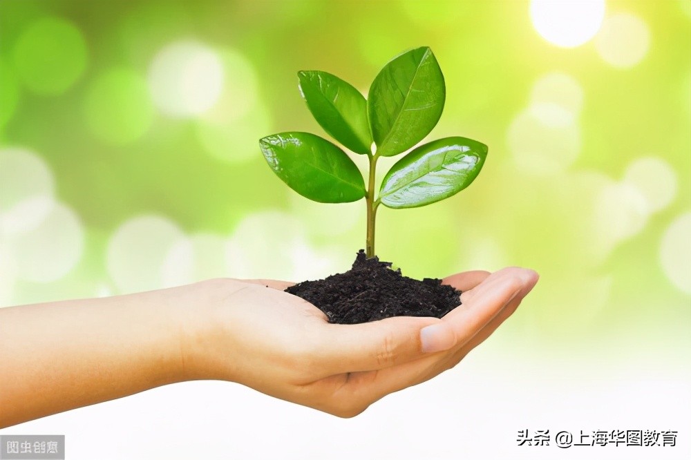 综合应用能力a类公文写作技巧,综合应用能力公文写作类视频