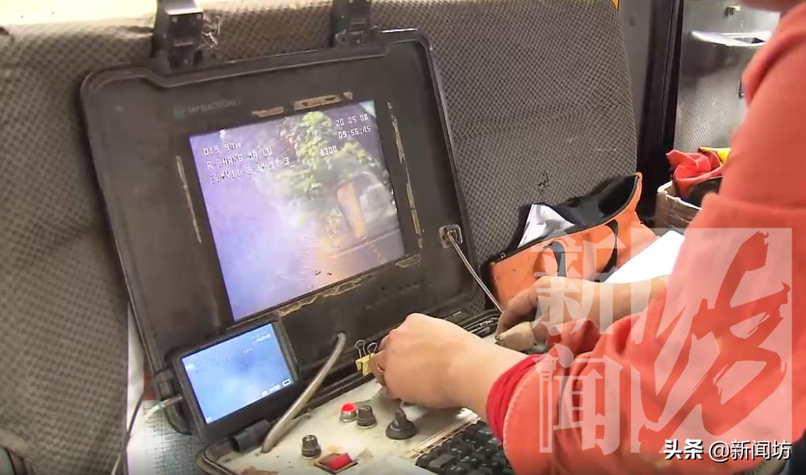 小伙一只宠物狗丢失,一男子2万元买了一只宠物犬