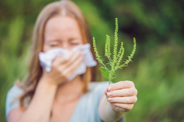 43岁开始蛋白质过敏体质怎么调理,过敏体质怎样调理好得快