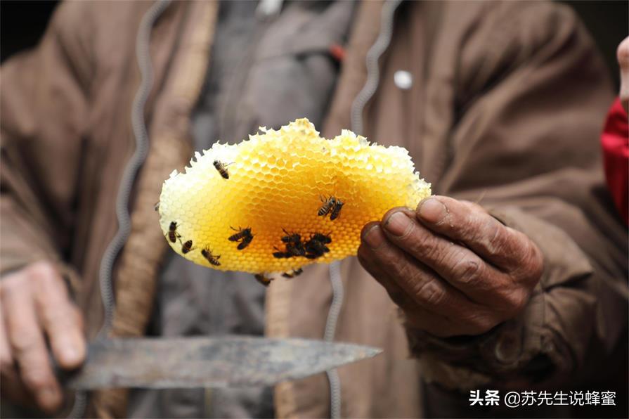 怎样辨别真蜂蜜假蜂蜜,怎么简单分辨假蜂蜜