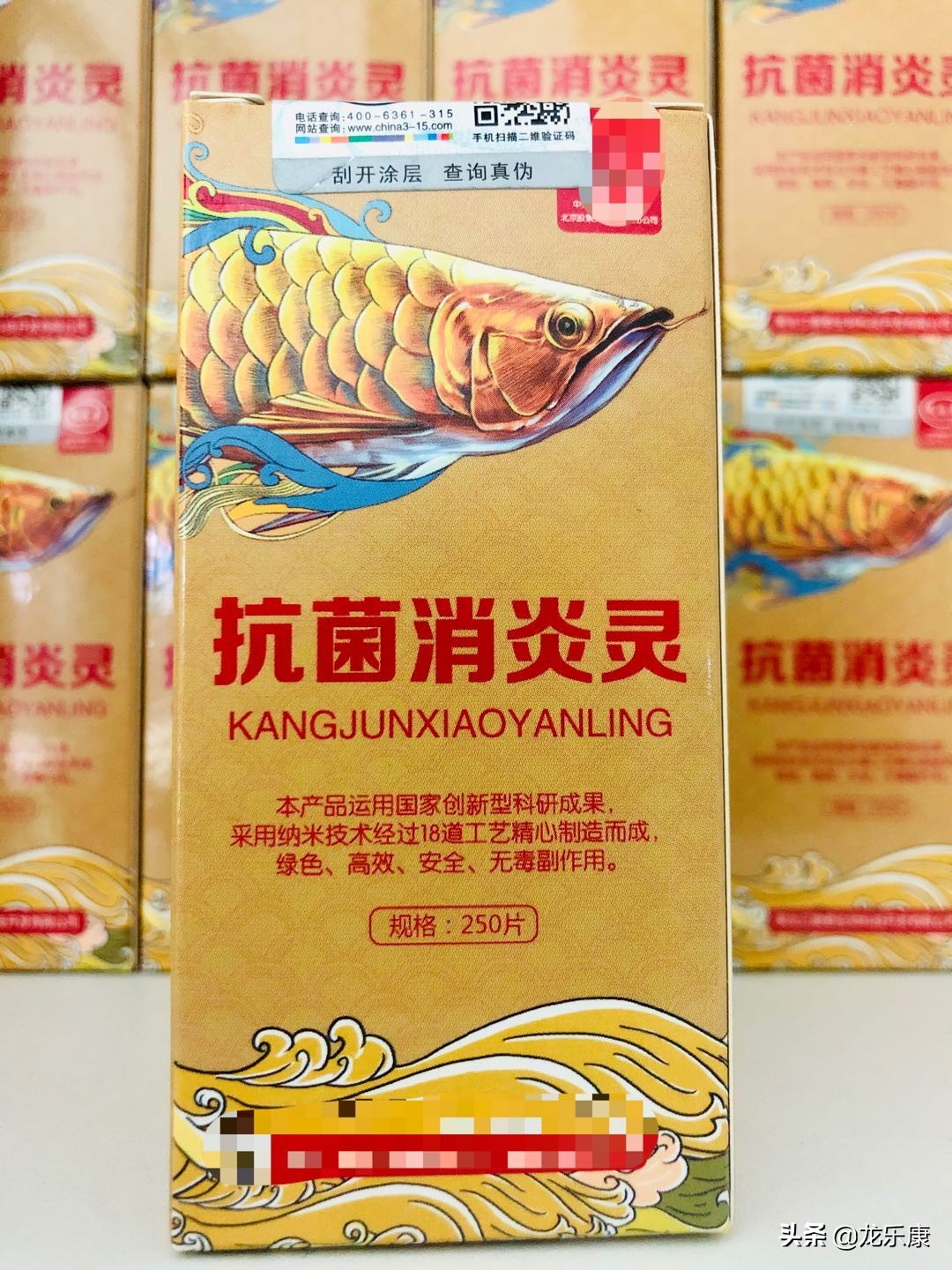 龙鱼温差引起的疾病,龙鱼鳃部疾病都有哪些