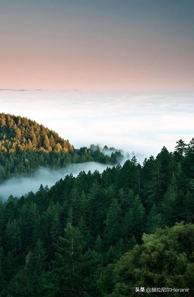 一分钟看懂科普知识,科普一分钟读懂药品