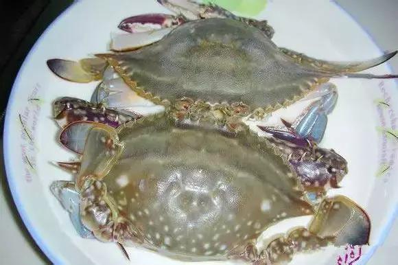 海南渔民整理的海鲜大全,渔民海鲜介绍