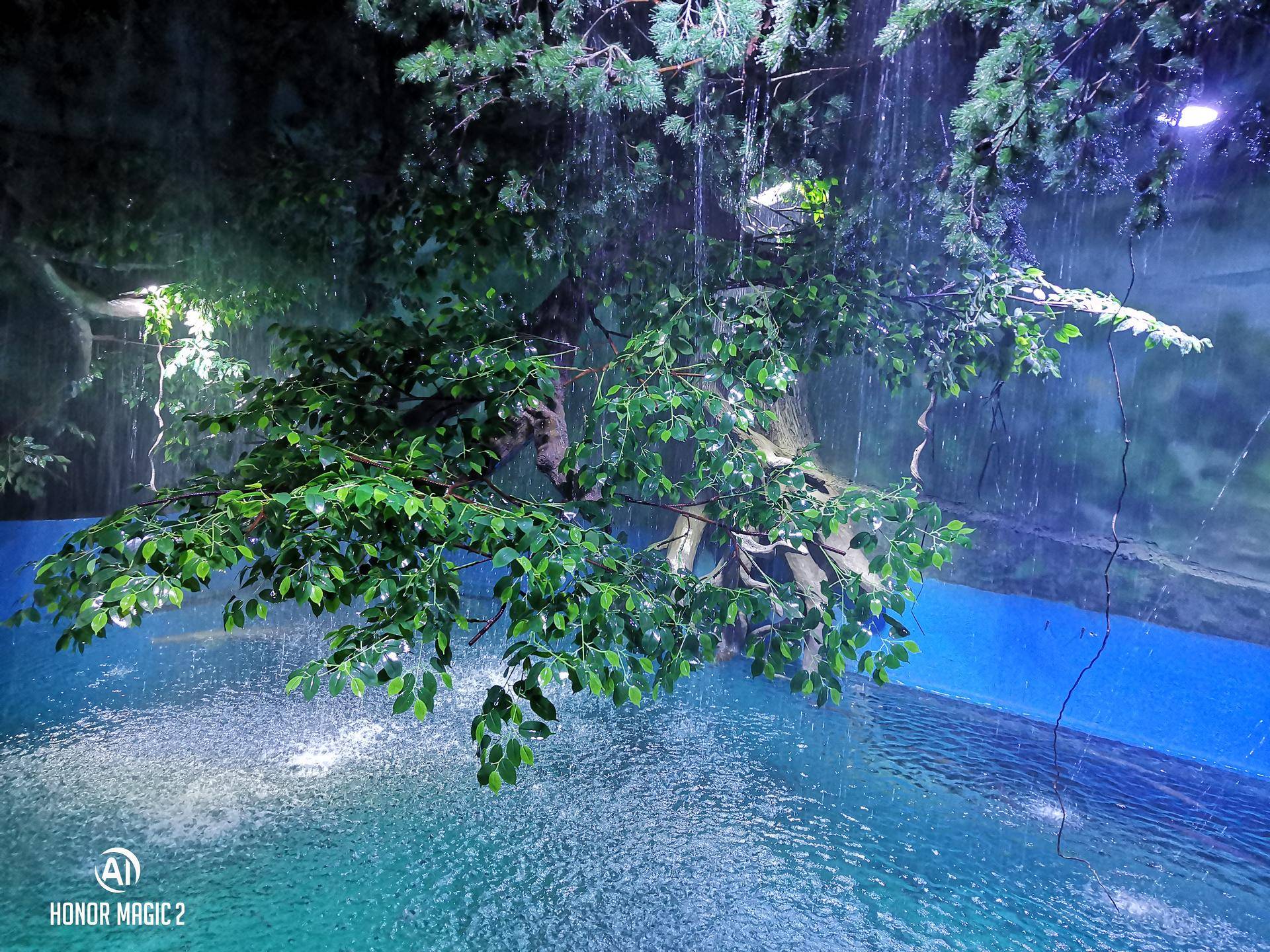 荣耀magic23d感光,体验未来后续