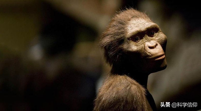 世界各地人种不同,全部起源于非洲?中国人未必