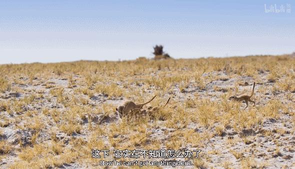 bbc纪录片最值得看的,bbc神级纪录片豆瓣评分超9