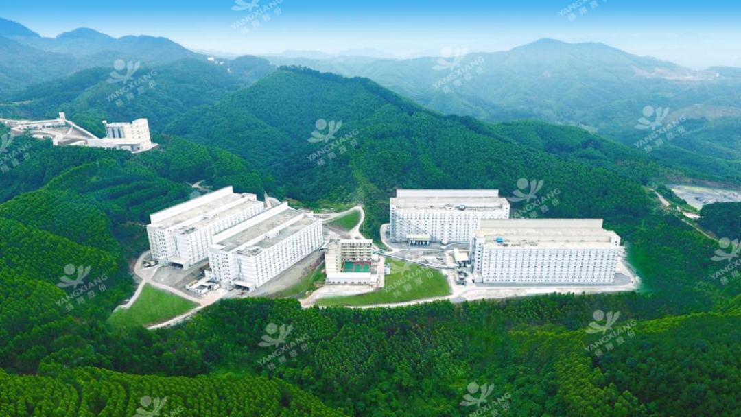 广西扬翔股份有限公司怎么样,扬翔集团在国内民营企业中排名