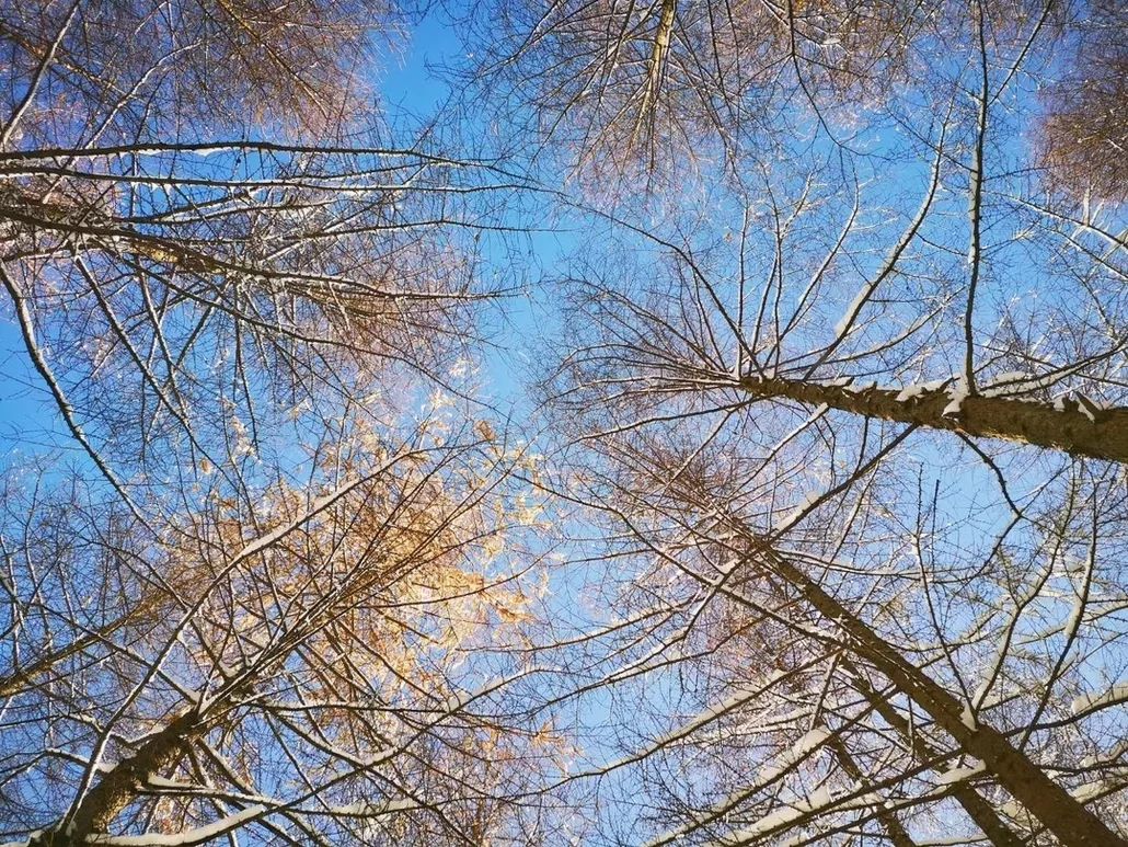 西安冬季周边一日游的绝佳去处,西安冬天适合带孩子玩的地方
