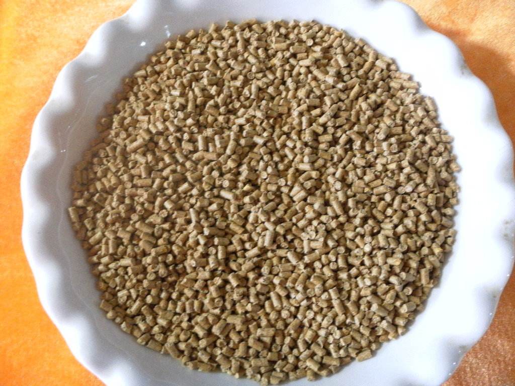 红虫饵颗粒怎么挂钩,钓鱼颗粒的正确挂钩方法