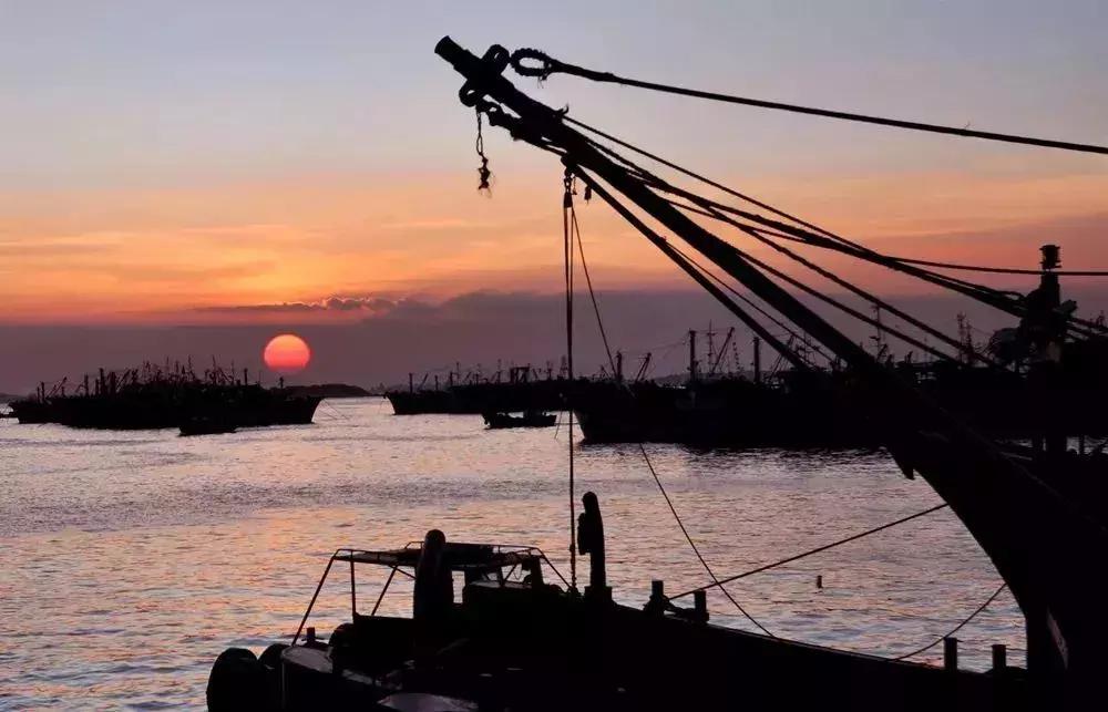 石狮今天的新消息,今日的石狮市