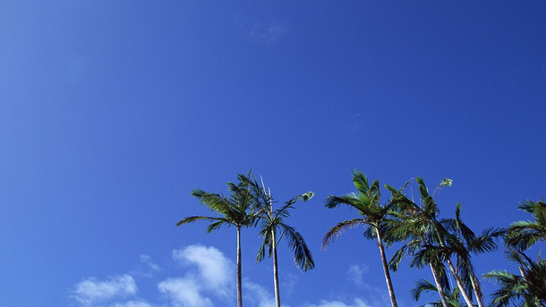 带有昕字男宝的名字意义,带昕字的女宝宝名字大全