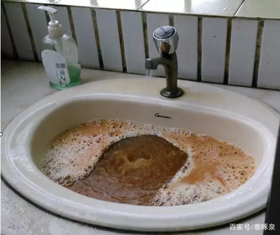 自来水从哪里来最终会流到哪里去,自来水从哪里来到哪里去