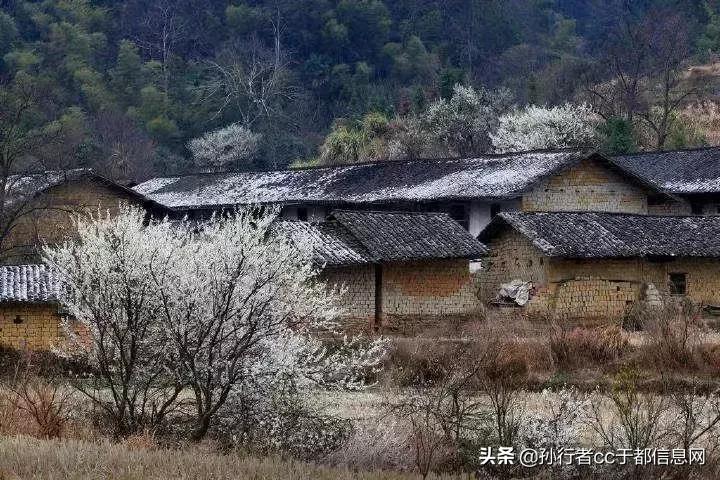 罗坳镇河坪村兴隆山的传说