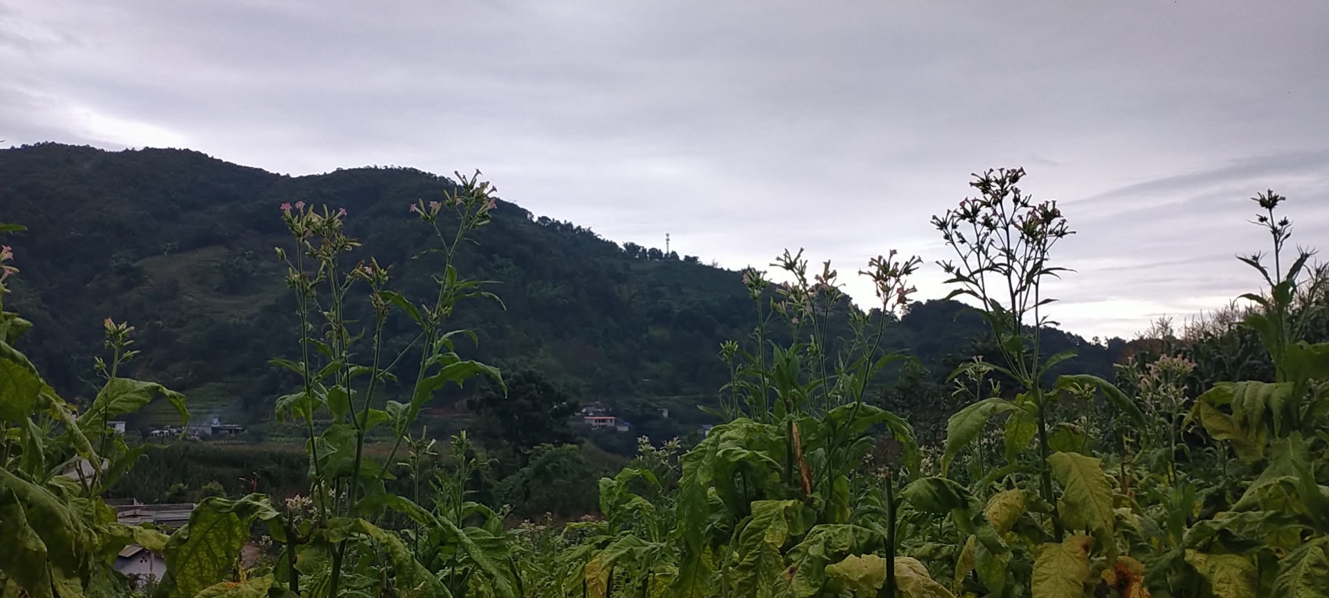 年轻人农村创业,年轻人在农村开店