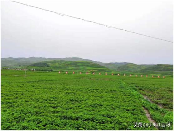 汇仁品牌产品直供,汇仁工厂供应链