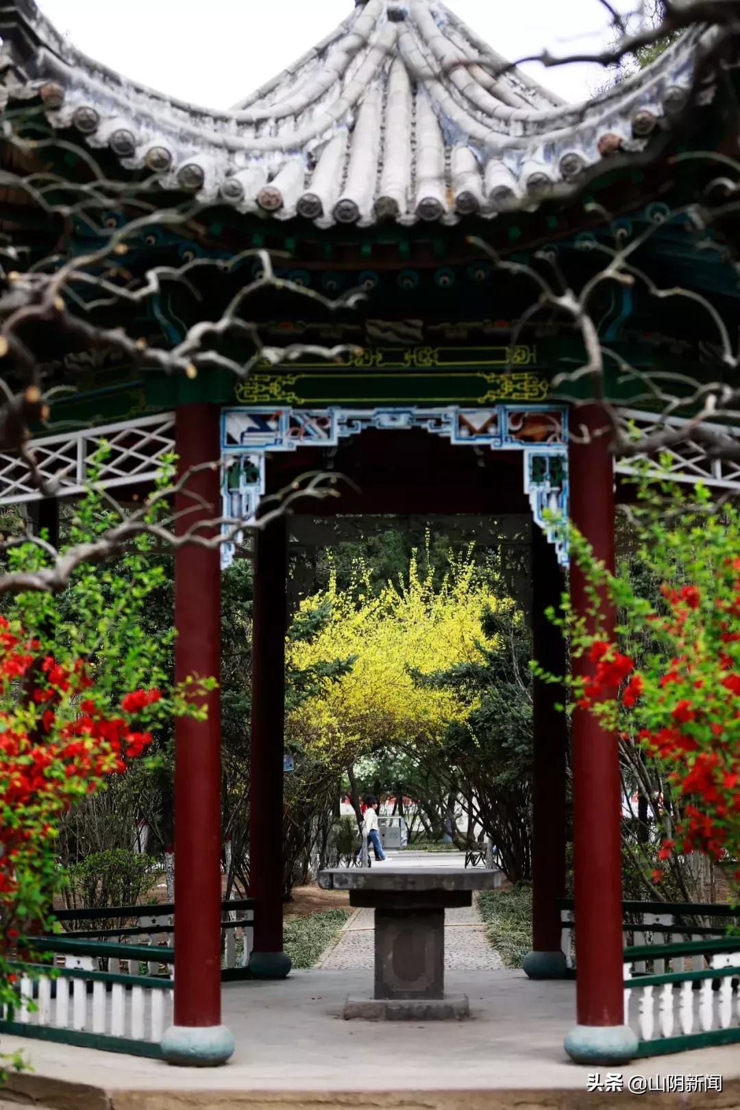 春天里最美的遇见歌曲,春天最美的文案就是油菜花