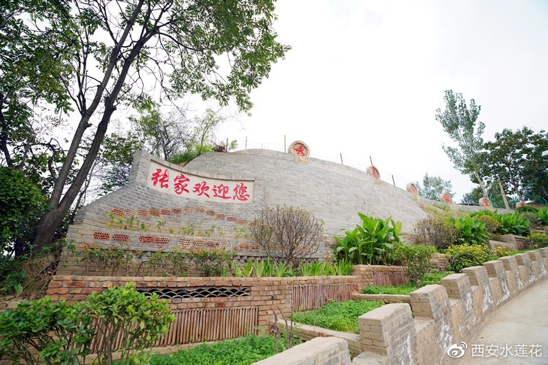 原来你是这样的西安,原来你是这样的人大代表