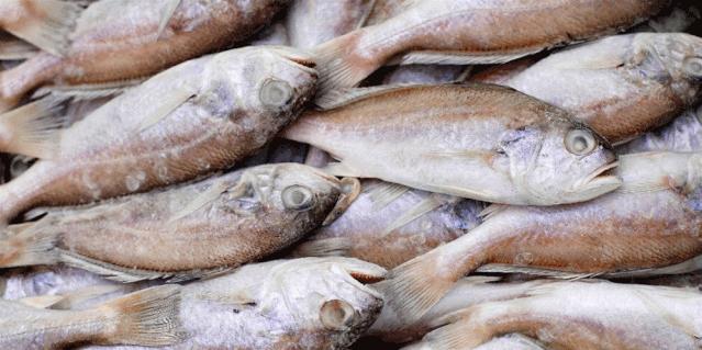 生鲜速达!诸城冷链物流渤海智慧易购生鲜商城正式上线