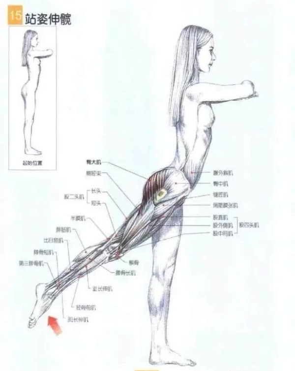 久坐之后感觉腰不舒服怎么缓解,久坐后腰部隐隐作痛