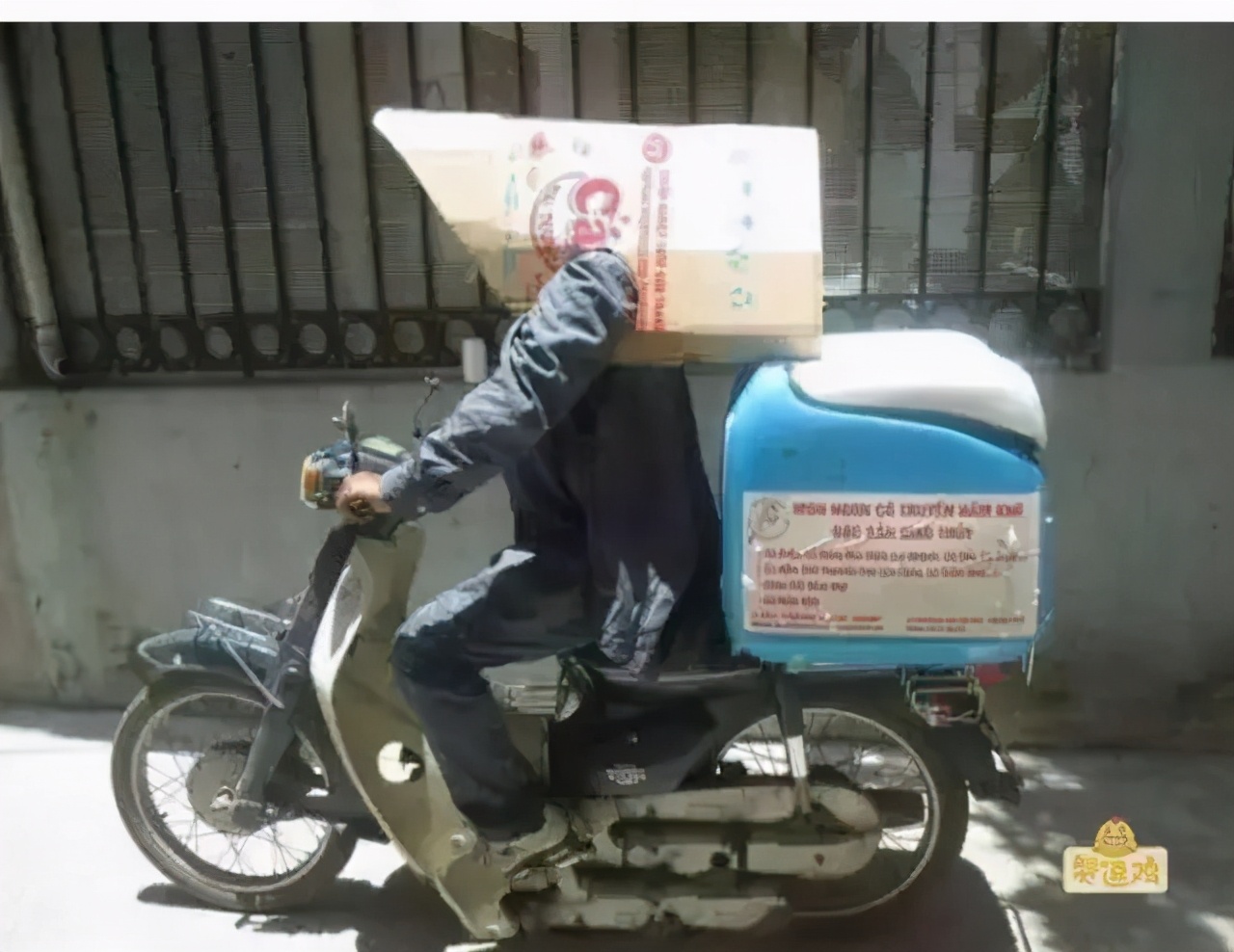 三伏天喝羊奶好吗,伏天喝羊奶有哪些好处