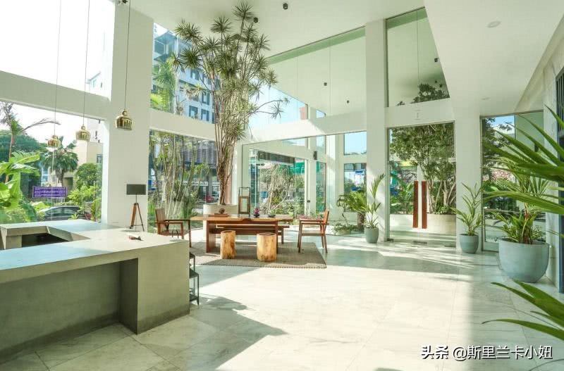 科伦坡淡山茱萸粉ins风酒店:清新艺术气质流行色不仅穿身上