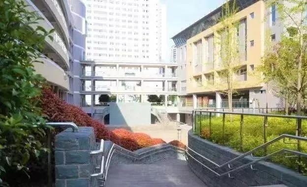 上海新晋10所黑马小学大盘点,上海最出名的十所小学