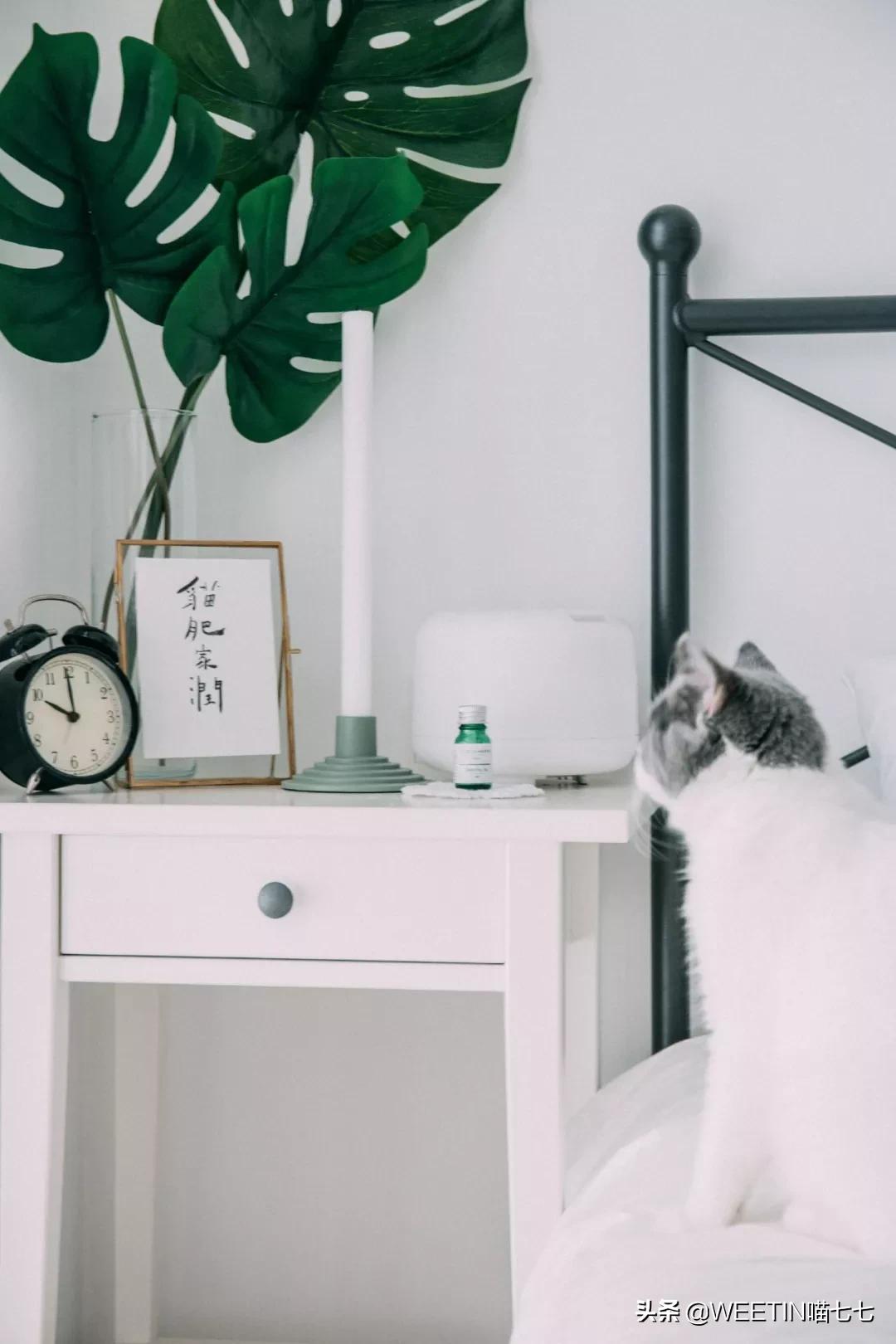 十大最鸡肋的家居神器,有哪些是鸡肋家居用品