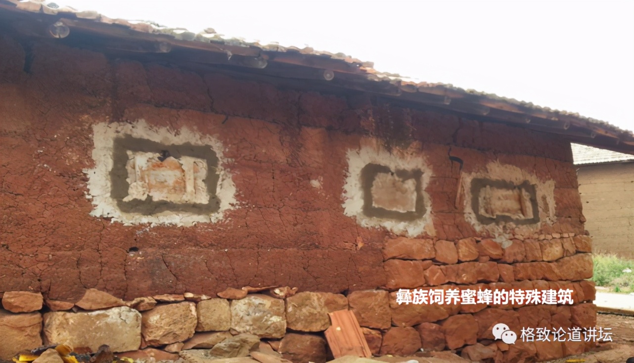 为什么长毛的火腿还能吃,长毛的火腿肠吃了会怎样