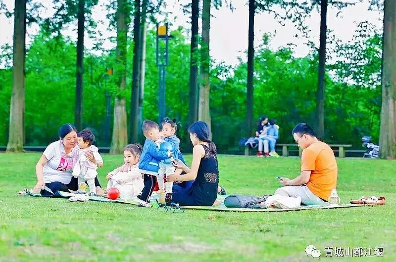 坐上公交去旅行!跟着这条101路线,带你玩遍大半个都江堰~一站一景,吃喝玩乐一网打尽!