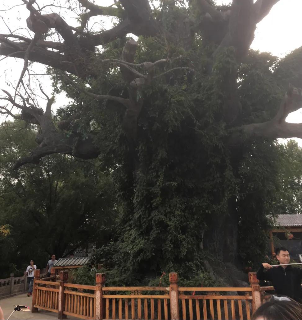 你右脚小拇指指甲盖是爽的吗？