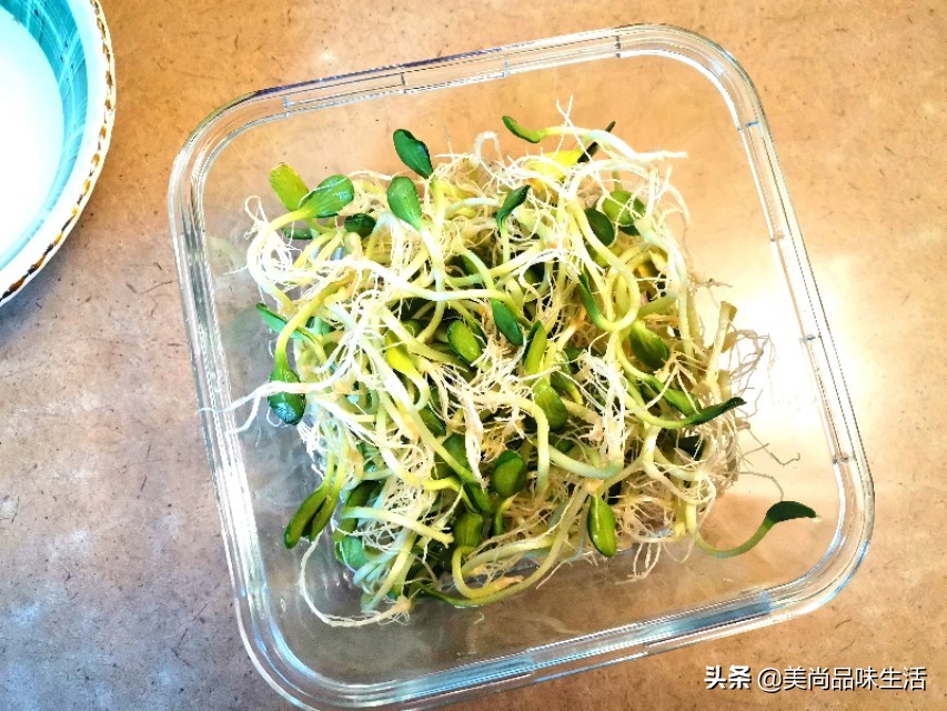 一把豆子的价值,一把豆子种三年