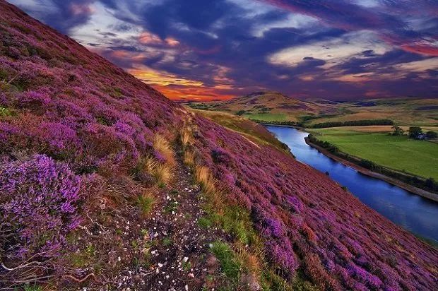 总结一下英国的天气,说一下英国的天气