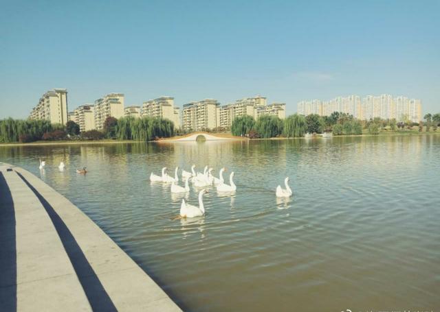 豫西师范类高校后起之秀:洛阳师范学院