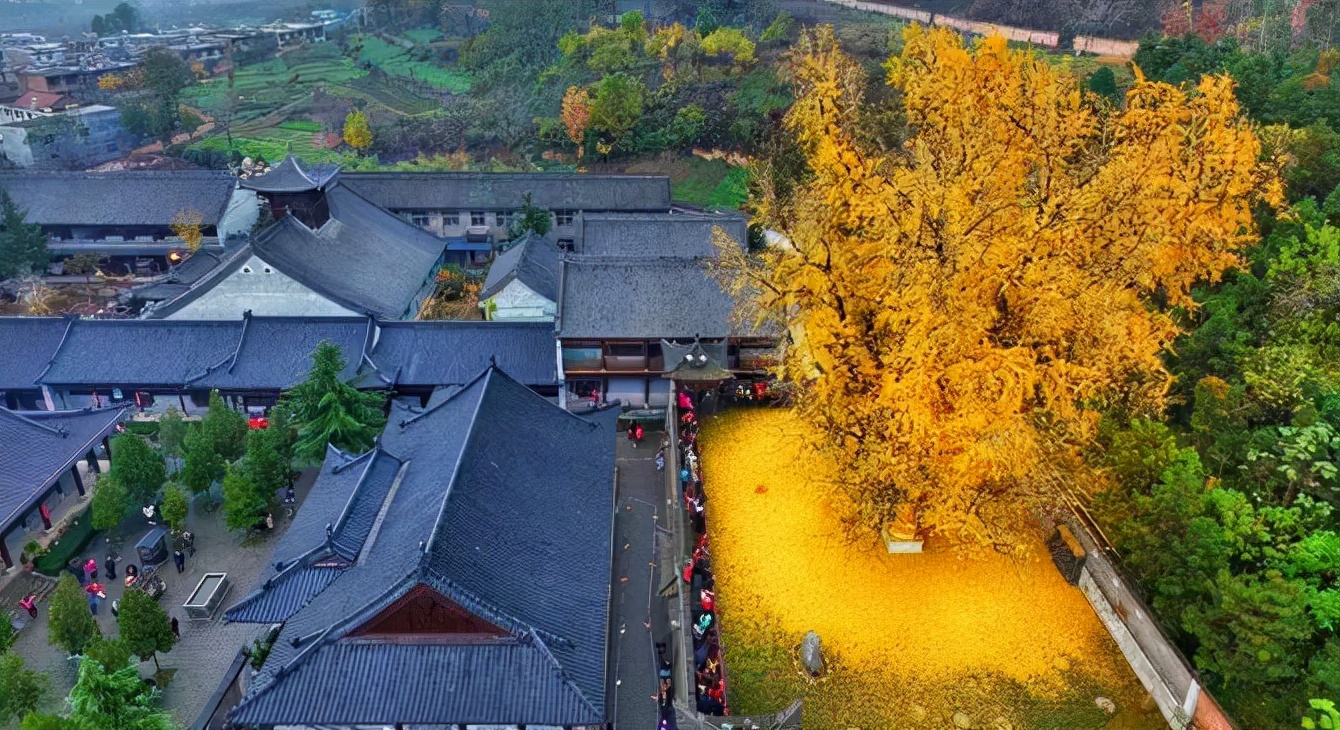 1011月错过它们，等于错过整个秋天！人少清净，随手一拍都是大片