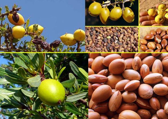 十大土豪水果排名,这些水果吃过5种以上的是土豪