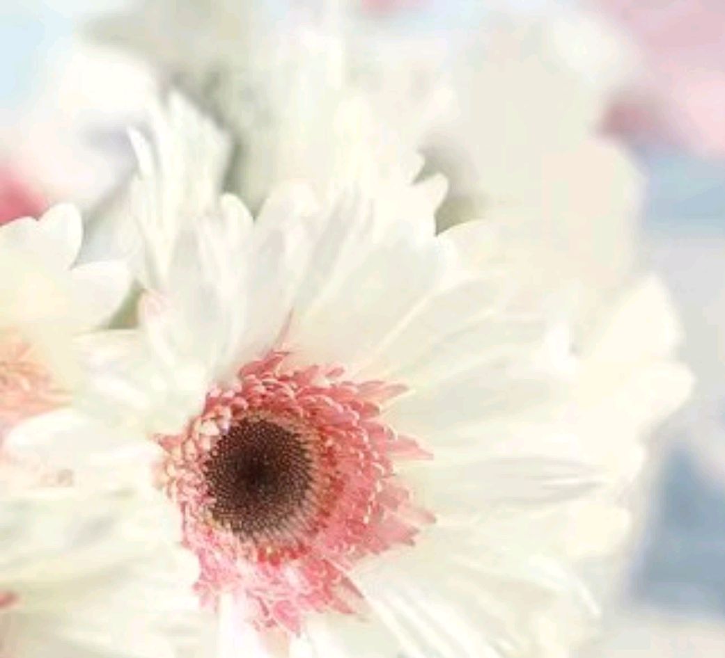 情商高的十大表现你了解几个,情商高的十大表现有哪些方面