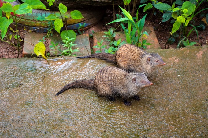 儿童亲子游怎么玩,室内亲子游必玩100例