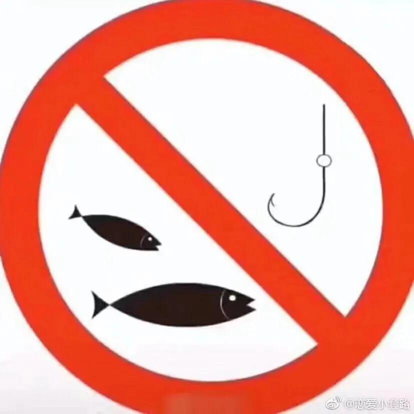 上海顶级夜总会,上海普陀区夜总会