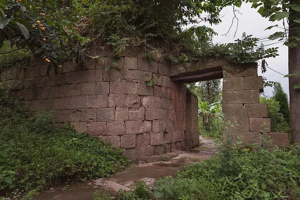 渝北枇杷正黄，冒冒失失穿越铁壁、胜保、斗碗三寨