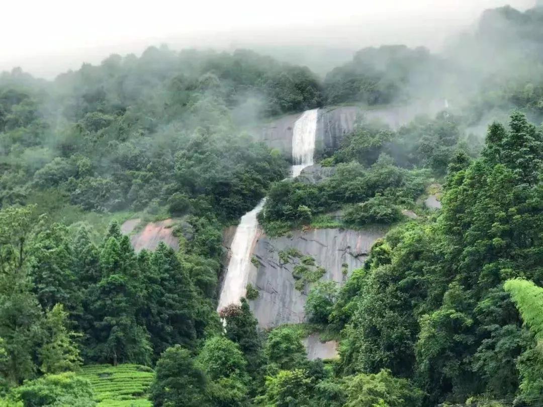 细品武夷岩茶十全肉宴,岩骨花香岩茶