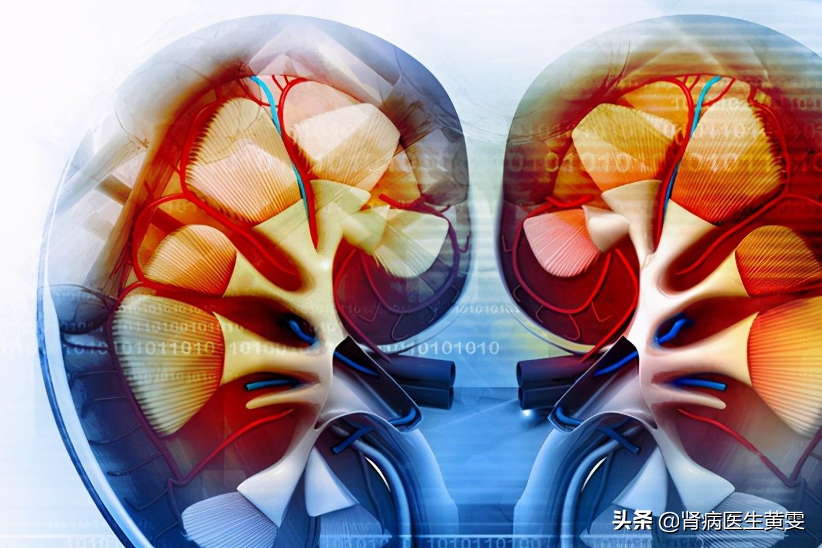 肾病病人如何控制水肿的科普视频,老年肾病水肿怎么快速消肿