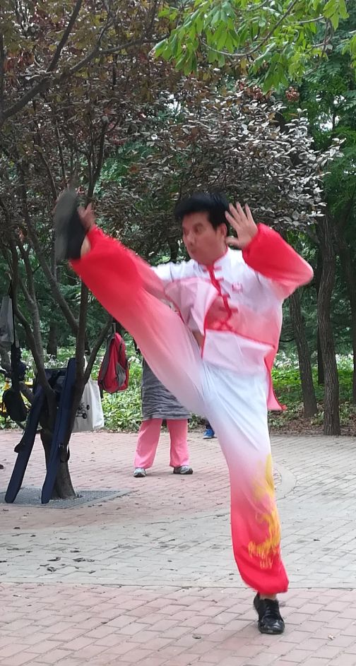 13式太极拳原本,太极拳早期