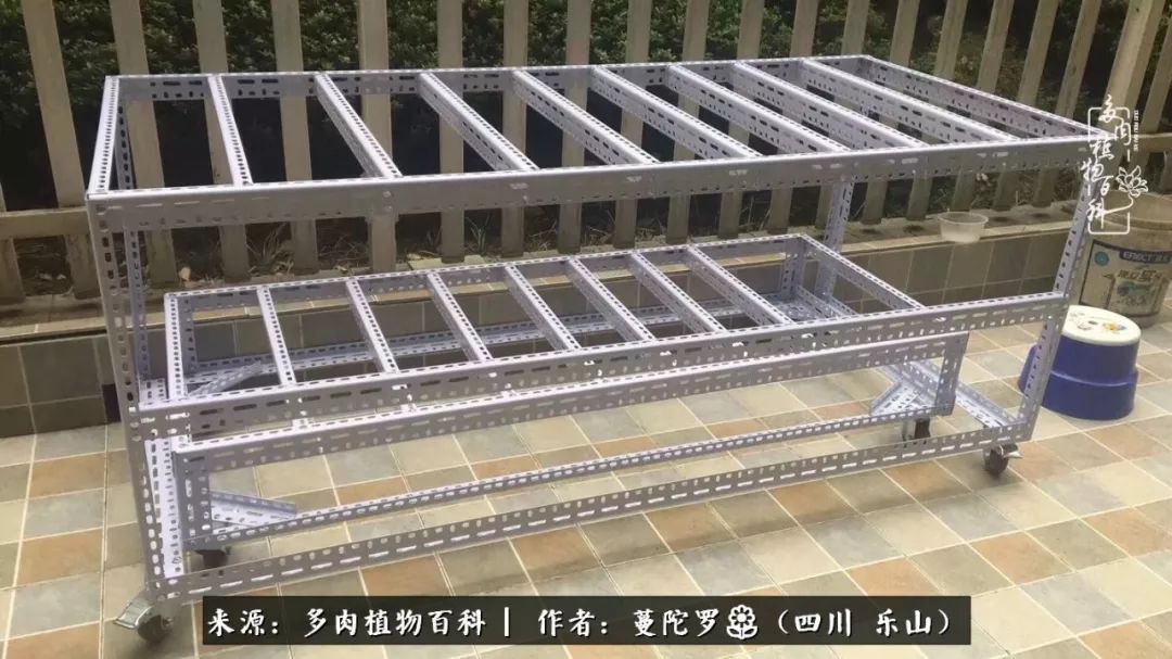 转角遇见多肉,遇见多肉治愈自己