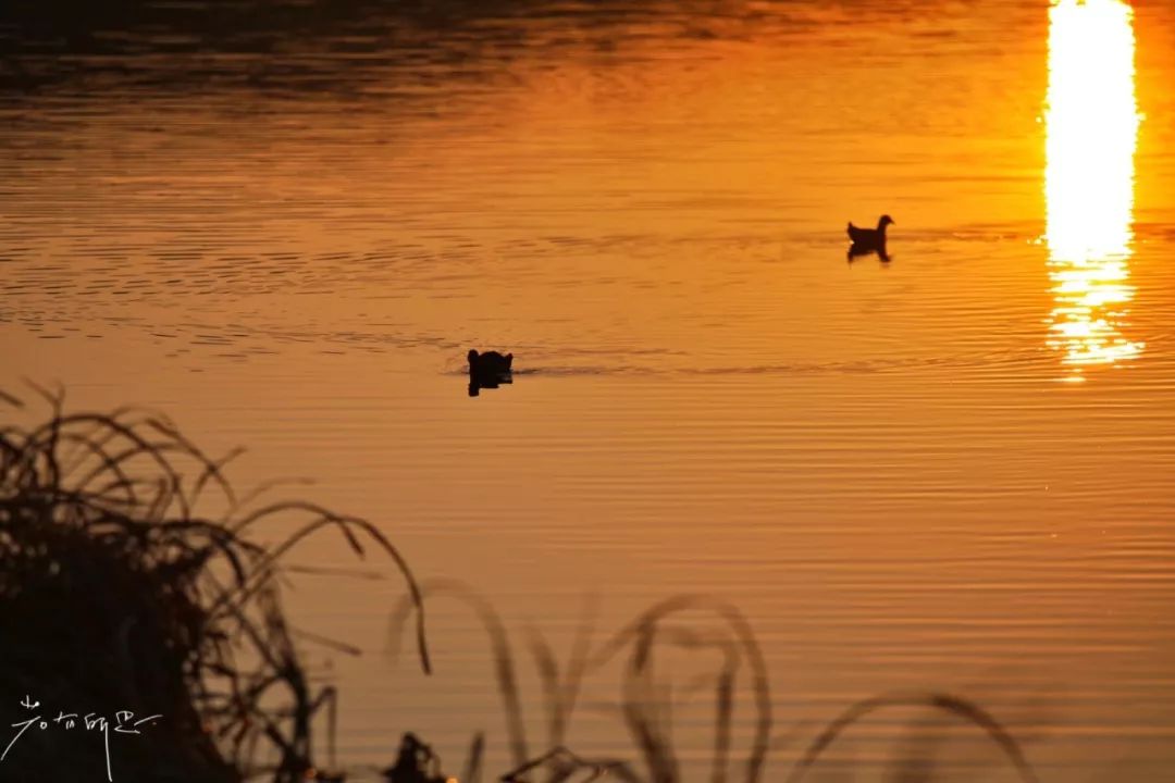 极边之城腾冲，来这里必做的八件事，否则白来了