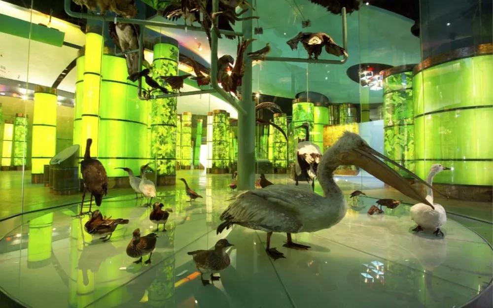 上海科技馆景区,上海科技馆景点介绍