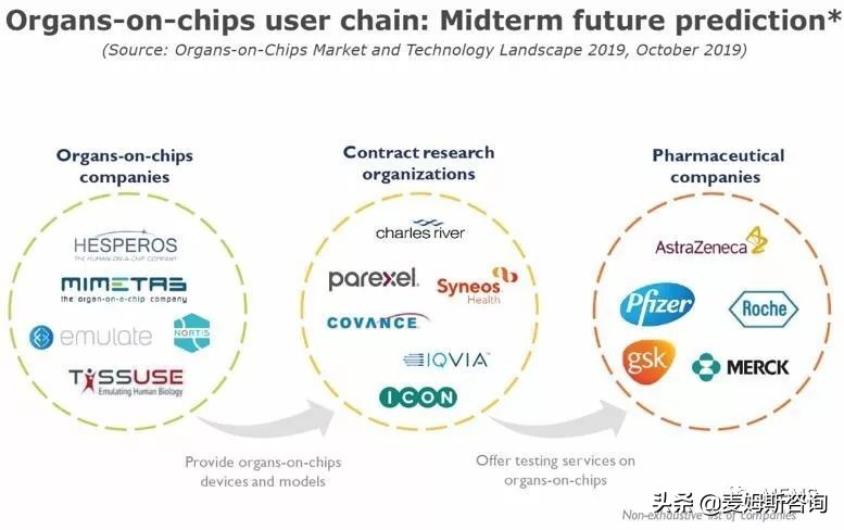 器官芯片是什么 (智能器官芯片现状)