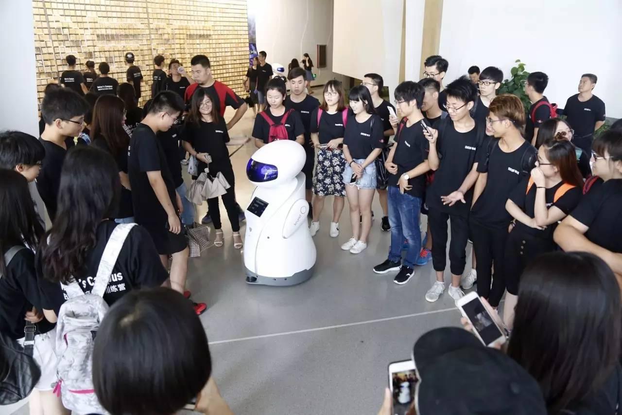 有没有适合小白网络创业项目,最适合在网上做副业