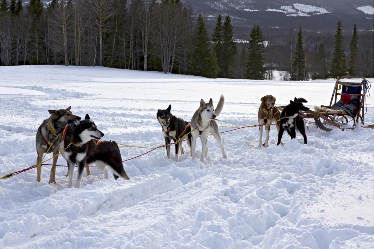 瑞典旅游景点攻略一日游路线,瑞典旅游自由行