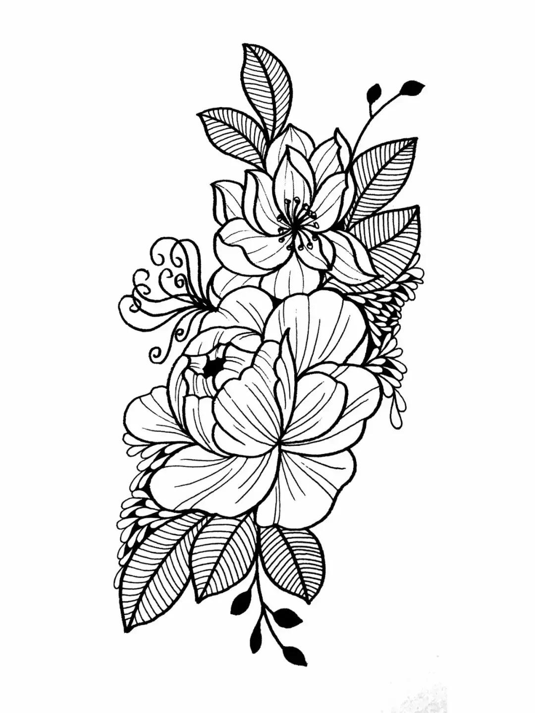 高级线描画花卉大全,花卉线描100种