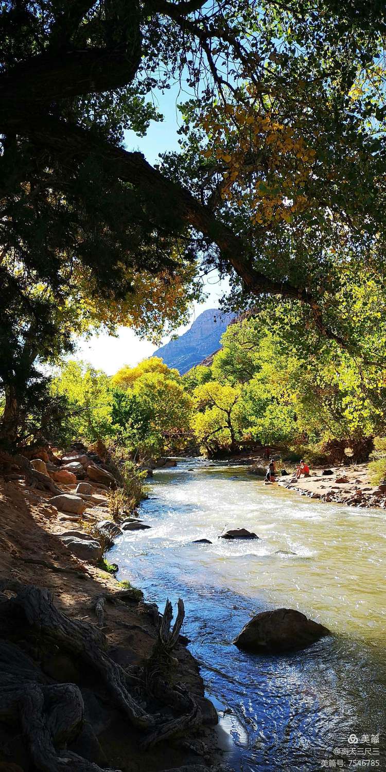 鍖楃編鏋儏闃虫柊,鍖楃編鏋儏鍥剧墖